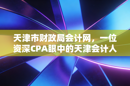 天津市财政局会计网,一位资深CPA眼中的天津会计人职业进阶指南与数字化生存实录
