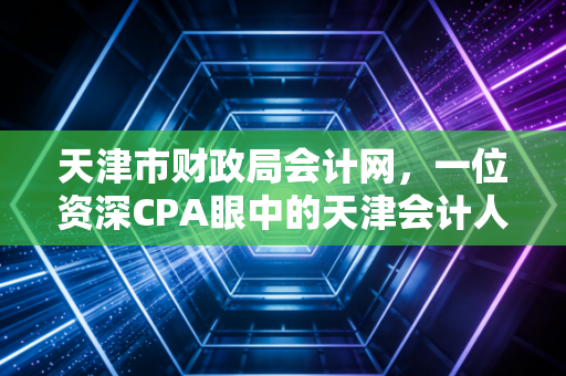 天津市财政局会计网,一位资深CPA眼中的天津会计人职业进阶指南与数字化生存实录