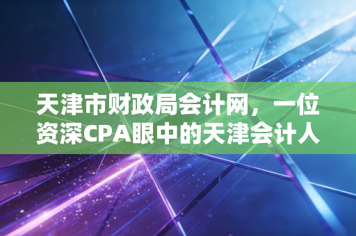 天津市财政局会计网，一位资深CPA眼中的天津会计人职业进阶指南与数字化生存实录