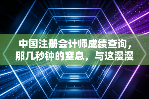 中国注册会计师成绩查询,那几秒钟的窒息,与这漫漫长路的和解