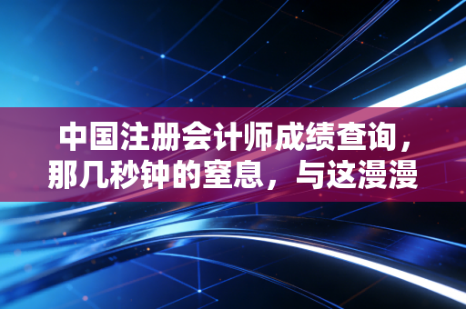 中国注册会计师成绩查询，那几秒钟的窒息，与这漫漫长路的和解