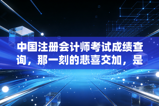 中国注册会计师考试成绩查询,那一刻的悲喜交加,是注会人独有的渡劫仪式