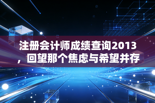 注册会计师成绩查询2013,回望那个焦虑与希望并存的冬天,聊聊CPA这十年
