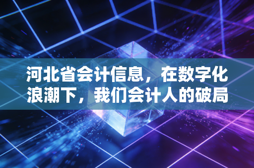 河北省会计信息,在数字化浪潮下,我们会计人的破局之路