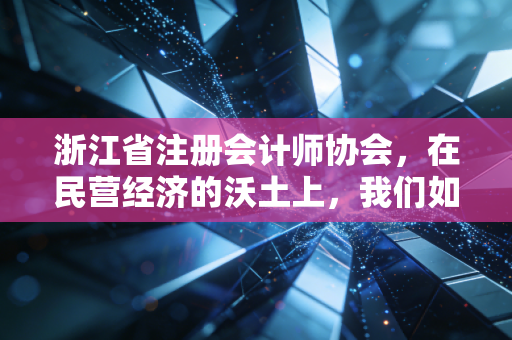 浙江省注册会计师协会，在民营经济的沃土上，我们如何共筑职业信仰与未来