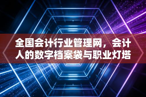 全国会计行业管理网,会计人的数字档案袋与职业灯塔