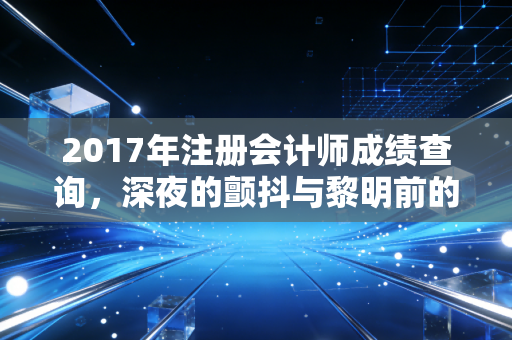 2017年注册会计师成绩查询,深夜的颤抖与黎明前的坚持
