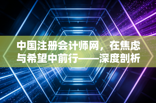 中国注册会计师网,在焦虑与希望中前行——深度剖析注册会计师的职业困境与未来出路