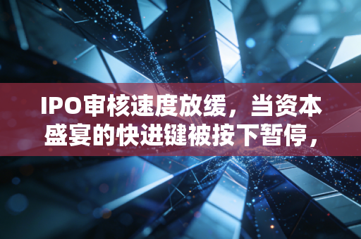 IPO审核速度放缓，当资本盛宴的快进键被按下暂停，我们该如何自处？