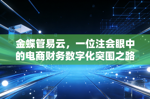 金蝶管易云，一位注会眼中的电商财务数字化突围之路