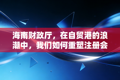 海南财政厅,在自贸港的浪潮中,我们如何重塑注册会计师的职业尊严与未来?