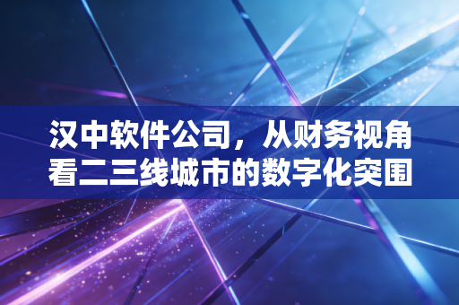 汉中软件公司,从财务视角看二三线城市的数字化突围与生存法则
