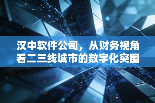 汉中软件公司，从财务视角看二三线城市的数字化突围与生存法则