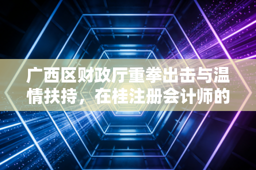 广西区财政厅重拳出击与温情扶持，在桂注册会计师的机遇与挑战
