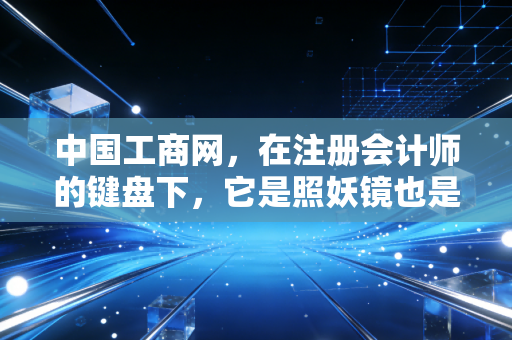 中国工商网，在注册会计师的键盘下，它是照妖镜也是避雷针