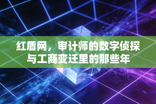 红盾网，审计师的数字侦探与工商变迁里的那些年