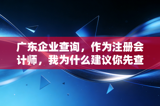 广东企业查询，作为注册会计师，我为什么建议你先查后动？