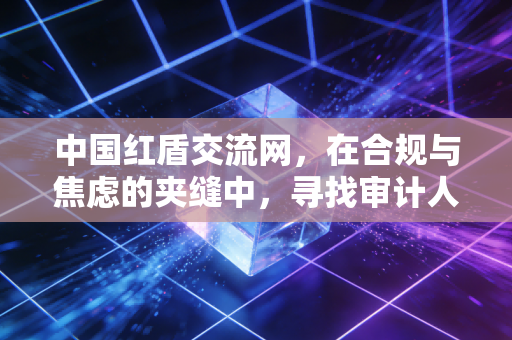 中国红盾交流网，在合规与焦虑的夹缝中，寻找审计人的职业灯塔