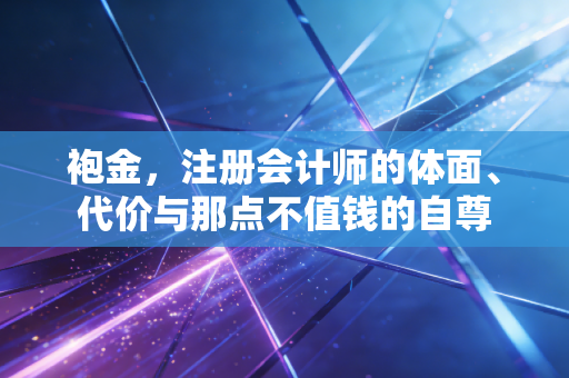 袍金,注册会计师的体面、代价与那点不值钱的自尊