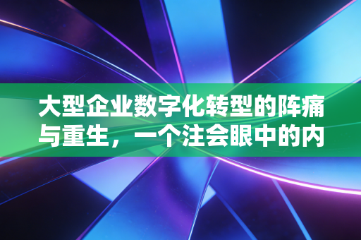 大型企业数字化转型的阵痛与重生，一个注会眼中的内控与审计博弈
