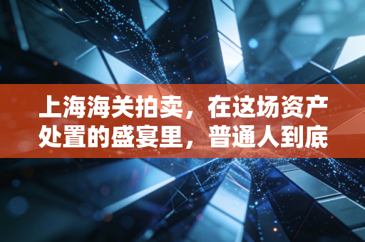 上海海关拍卖，在这场资产处置的盛宴里，普通人到底能不能捡漏？