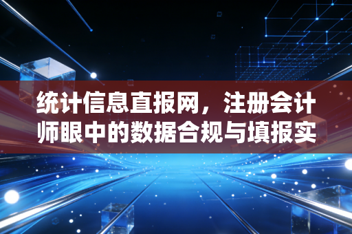 统计信息直报网，注册会计师眼中的数据合规与填报实战