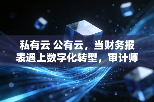 私有云 公有云，当财务报表遇上数字化转型，审计师眼中的数据主权与成本博弈
