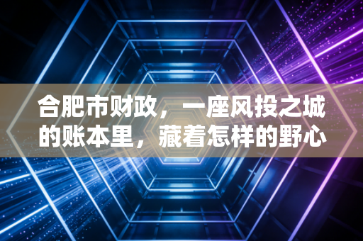合肥市财政，一座风投之城的账本里，藏着怎样的野心与温情？