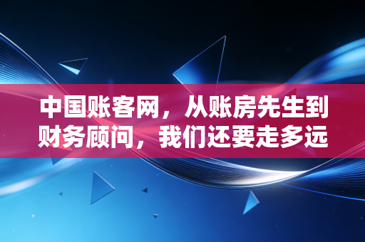 中国账客网，从账房先生到财务顾问，我们还要走多远？