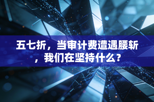 五七折,当审计费遭遇腰斩,我们在坚持什么?