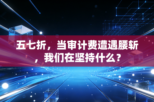 五七折,当审计费遭遇腰斩,我们在坚持什么?
