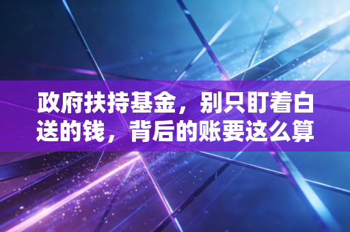 政府扶持基金,别只盯着白送的钱,背后的账要这么算