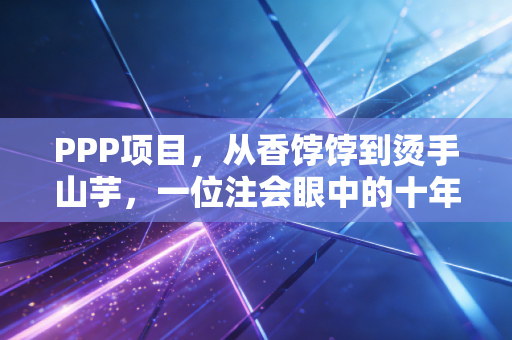 PPP项目,从香饽饽到烫手山芋,一位注会眼中的十年沉浮与未来重生