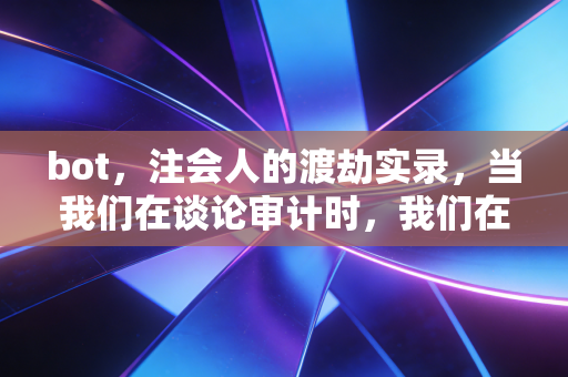 bot，注会人的渡劫实录，当我们在谈论审计时，我们在谈论什么？