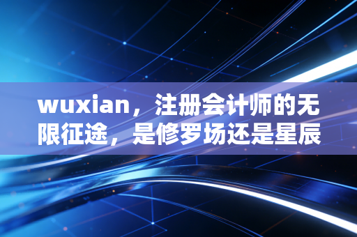 wuxian,注册会计师的无限征途,是修罗场还是星辰大海?