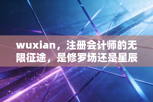 wuxian，注册会计师的无限征途，是修罗场还是星辰大海？