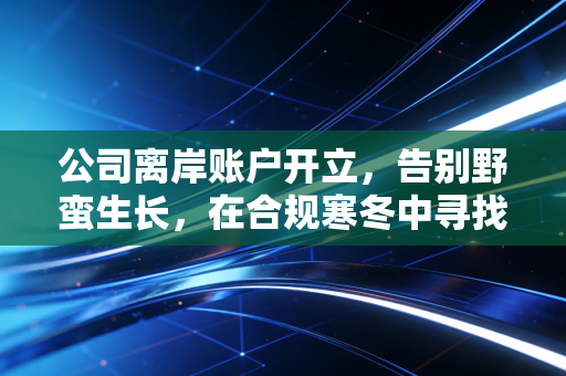 公司离岸账户开立,告别野蛮生长,在合规寒冬中寻找出海之路