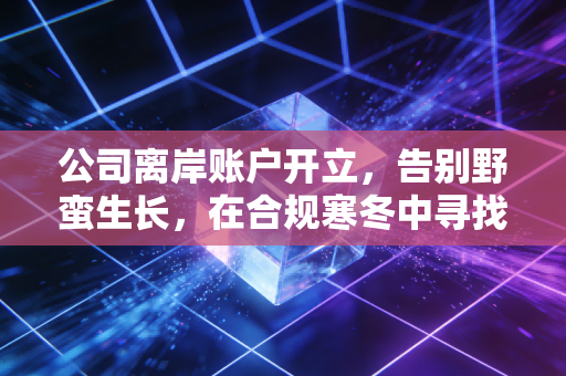 公司离岸账户开立，告别野蛮生长，在合规寒冬中寻找出海之路