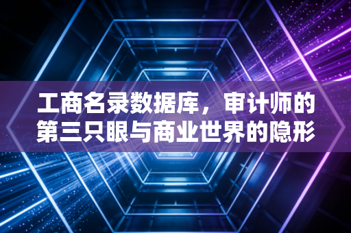 工商名录数据库,审计师的第三只眼与商业世界的隐形地图