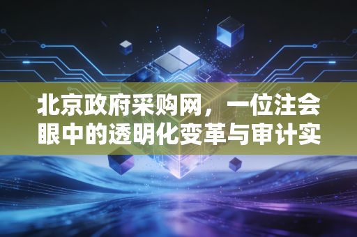 北京政府采购网，一位注会眼中的透明化变革与审计实战启示