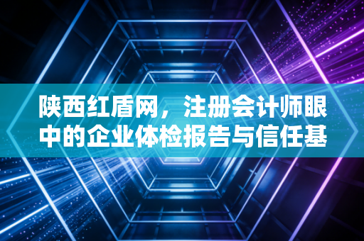 陕西红盾网，注册会计师眼中的企业体检报告与信任基石