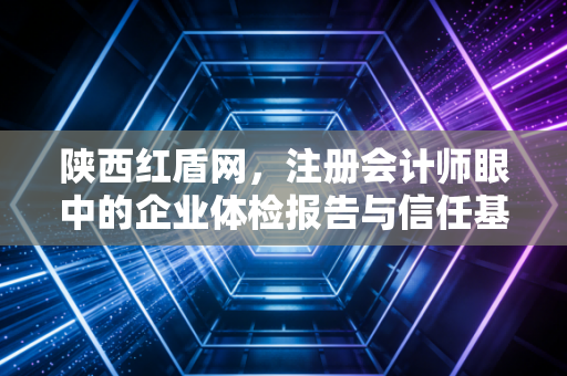 陕西红盾网，注册会计师眼中的企业体检报告与信任基石