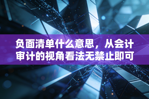 负面清单什么意思,从会计审计的视角看法无禁止即可为的智慧