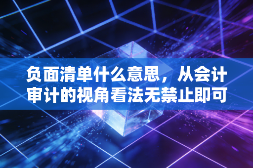 负面清单什么意思,从会计审计的视角看法无禁止即可为的智慧