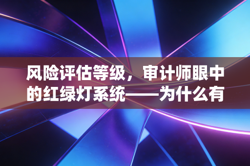 风险评估等级,审计师眼中的红绿灯系统——为什么有些公司让我们彻夜难眠?