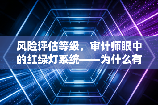 风险评估等级，审计师眼中的红绿灯系统——为什么有些公司让我们彻夜难眠？