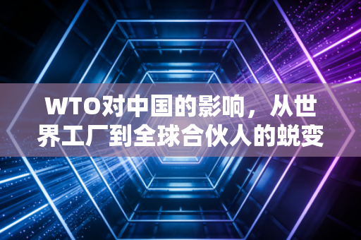 WTO对中国的影响，从世界工厂到全球合伙人的蜕变与思考