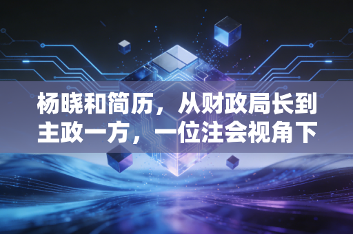 杨晓和简历,从财政局长到主政一方,一位注会视角下的职业轨迹与风险启示