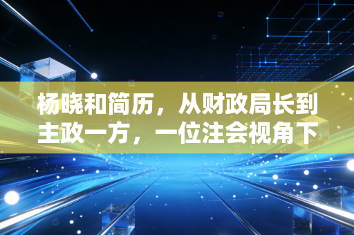 杨晓和简历,从财政局长到主政一方,一位注会视角下的职业轨迹与风险启示