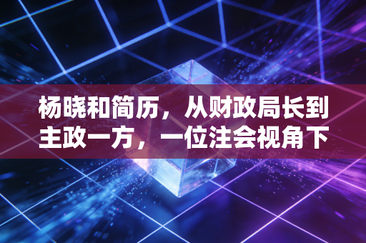 杨晓和简历，从财政局长到主政一方，一位注会视角下的职业轨迹与风险启示